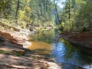 PICTURES/Sedona West Fork Fall Foliage/t_Trees & Creek3.JPG